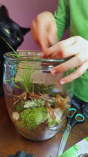 Prepping My Capstone Project Terrarium