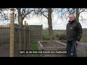Hvad kræver det at holde høns? | Poda Hegn