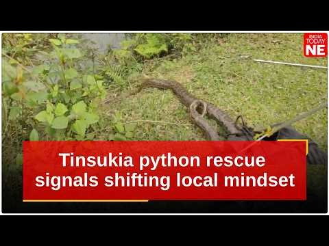 Tinsukia Python Rescue Signals Shifting Local Mindset Towards Wildlife Protection