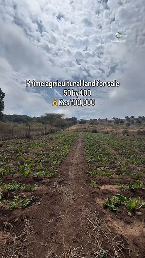 Prime 50 by 100 Plot for Sale – Kiawara Asking Price: Kes 700,000...