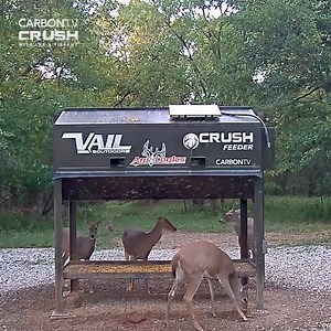 12 reactions |  Crush Cam Feeder Update: A deer duke out – and they aren’t holding back! 卵亂 Stream the full clip at The Crush with Lee & Tiffany on CarbonTV.  https://www.carbontv.com/cams/live-the-crush-with-lee-and-tiffany-deer-cam/clips/145/ #CarbonTV #Hunting #HuntingLife #CamFeeder #CrushCam | CarbonTV | Facebook