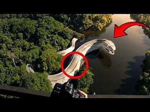 LARGEST Animals and Creatures Ever Caught on Camera