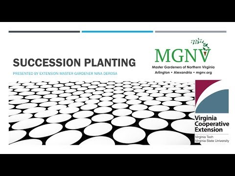 Succession Planting - Re-edited December 2025