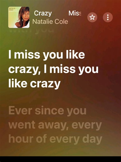 Miss You Like Crazy lyrics full song with lyrics