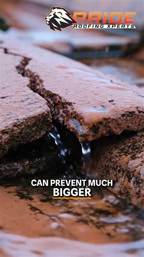 Tile Roof Repair: When Cracks Cause Big Problems! #shorts