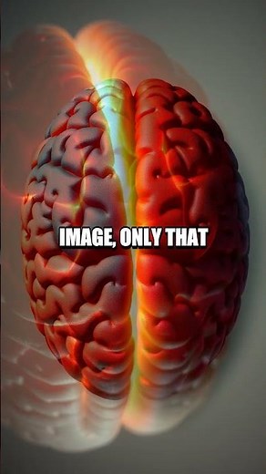 The Untold Story of the Split-Brain Experiment