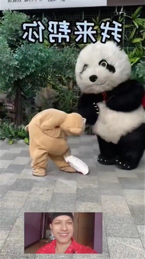 cute panda help goes wrong 😂 🥰#shorts #viral #funny #comedy #trending #youtubeshorts #video #short