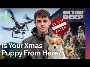 I Exposed Dark World Of UK Puppy Farms @kylethomas | In Too Deep | Channel 4 Documentaries