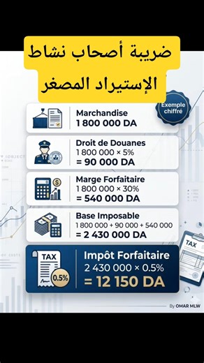 ضريبة أصحاب نشاط الإستيراد المصغر المقاول الذاتي
