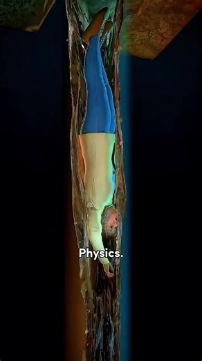 The Wonders of Physics Explained