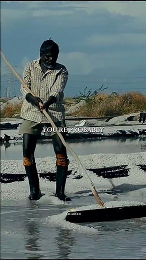 How Salt Is Made Step by Step