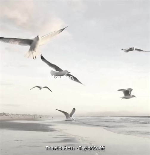 The Albatross is a quiet but heavy song about being labeled as a curse or a bad omen before anyone even tries to understand you. Taylor uses the albatross symbol to explore how women are often blamed, feared, or burdened with expectations they never chose. The song feels like standing alone while the world decides your meaning for you, turning you into a warning instead of a person. It is introspective, restrained, and deeply sad in a reflective way, focusing on isolation, misunderstood identity