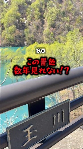 【秋田県仙北市】秋扇湖の水没林