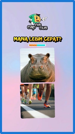 Manusia vs Kuda Nil? 🆚 Video Edukasi Anak Mengenal Hewan