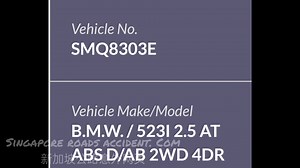 #SMQ8303E BMW Courses Chain Collision | Singapore roads accident.com新加坡公路意外网页