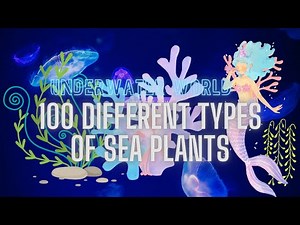 100 different types of Ocean plants | under water World | Plants #unique #knowledge #video #facts