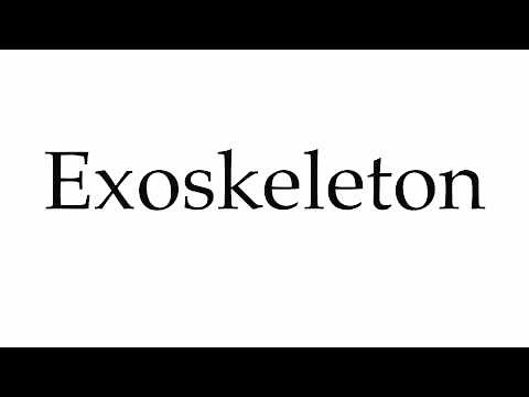 How to Pronounce Exoskeleton