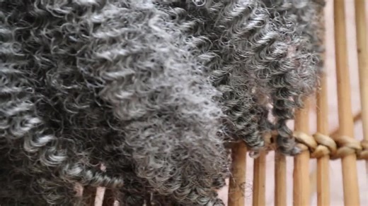 Afro Twist Scrunchie: 16 Inch Synthetic Ponytail Extension - Gray - Etsy
