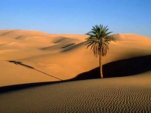 ( ) Demis Roussos - My Friend The Wind | 노래 가사