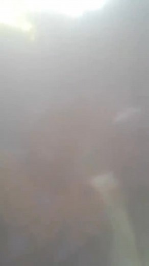 Amzanu apata! Inu mukuchedwa pati | Mikozi