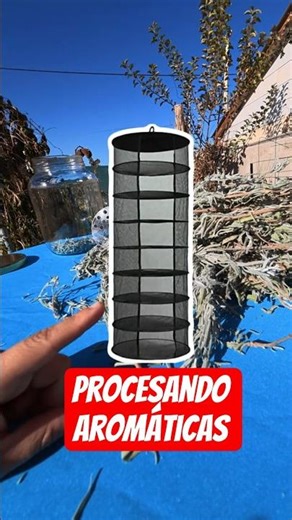Procesando aromáticas.