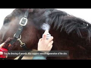 First Aid Zinc Oxide Spray