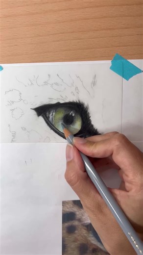 Art Creation Process: 4 Hours of Wildlife Art