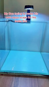 12K views · 61 reactions | His first time making his own fish tank #BreakYourAlgorithm #bettafishtank #bettafish #fypage #fyp | Fish Tank | Facebook