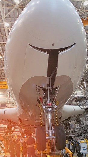 A Day in the Life of Aircraft Maintenance: Forever Young Aviation