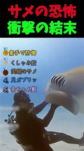 【衝撃】生き残れたのが奇跡？海で撮られたヤバすぎるサメ映像TOP5【神回】