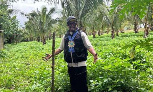 Apl.De.Ap's coconut project is more than just planting 100M trees