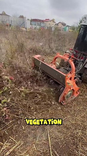 Turning chaos into clean land. #landclearing #agriculture #fblifestyle | Contiuner TV