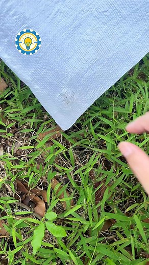 Gardening Ideas for Home – The Best Way to Install Shade Cloth #gardening #ideas #lifehacks #tricks | Handy Tips