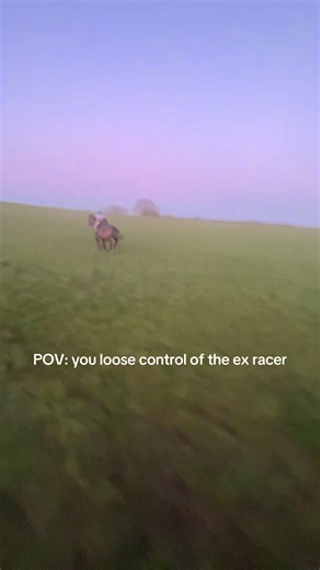 Funny Perspective on Horse Racing Mishaps