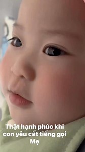 9.5M views · 155K reactions | GoldCat Việt Nam on Reels | Facebook