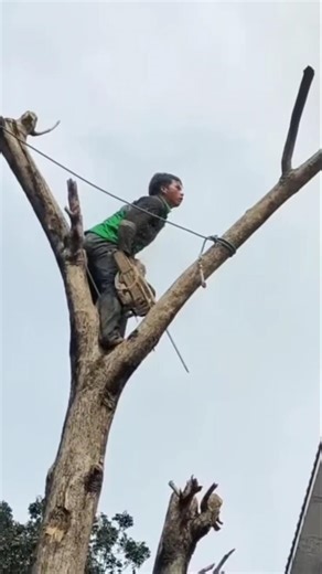 Woodworking tips and tricks #shortvideo #woodworking #chainsaw