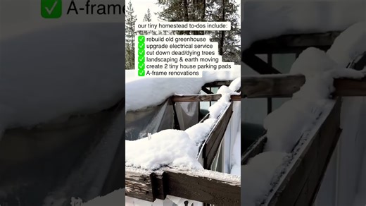 tiney house on wheels vs home on land