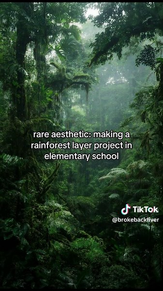 Creating a Rare Aesthetic Rainforest Layer Project