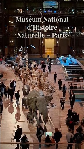 National Museum of Natural History – Paris 🦒🦓✨ Where nature stands still, and time walks among it