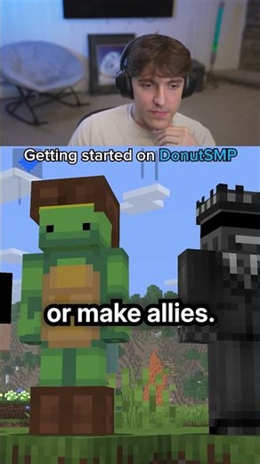 Getting started on DONUTSMP...