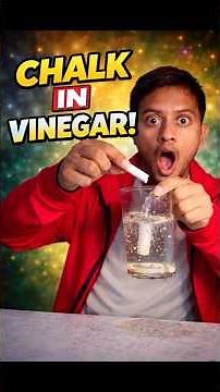 Chalk in Vinegar Reaction 😳 | Amazing Science Experiment #shorts