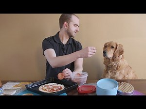 Dog helps me make a PIZZA!