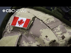 DND proposes mobilizing a citizens' army of 300,000. Here's what that could include