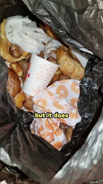 I Went Dumpster Diving To See What I Would Find