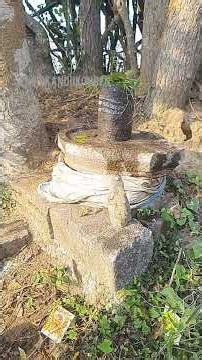 வெட்ட வெளியில் உள்ள சிவலிங்கங்கள் | கரும்பாக்கம் | செங்கல்பட்டு மாவட்டம் | வழிபாடில்லாத சிவலிங்கம்