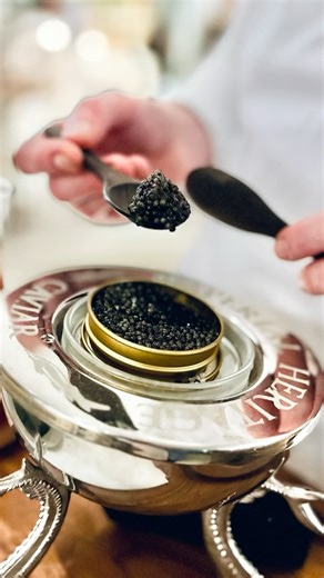 𝐊𝐧𝐨𝐤𝐤𝐞 𝐥𝐞 𝐙𝐨𝐮𝐭𝐞 | 𝒩𝐿 Om onze lijst ‘𝐋𝐞𝐬 𝟏𝟎 𝐜𝐨𝐮𝐩𝐬 𝐝𝐞 ♡’ 𝐝𝐞 𝐊𝐧𝐨𝐤𝐤𝐞 𝐥𝐞 𝐙𝐨𝐮𝐭𝐞 af te sluiten, bezochten we het gerenommeerde Restaurant Caillou. Een moderne,... | Instagram