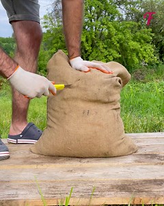 3.8K views | Watering system makes potato gardening productive and easy. | Fabiosa UK | Facebook