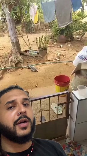 Ataque de Teiú: O que aconteceu com o cachorro?