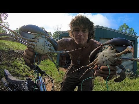 MUDCRABS Cooked at the Shed - Catch n Cook!