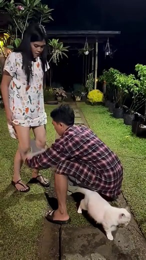 ##viral #tiktok #trending #fyp #foryou #foryoupage #explore #viralvideo #reels #reelsvideo #follow #like #share #comment #newvideo #2026 #trend #tiktoker #famous #shorts #discover #popular #featureme #instareels #explorepage #boom #flow #algorithm